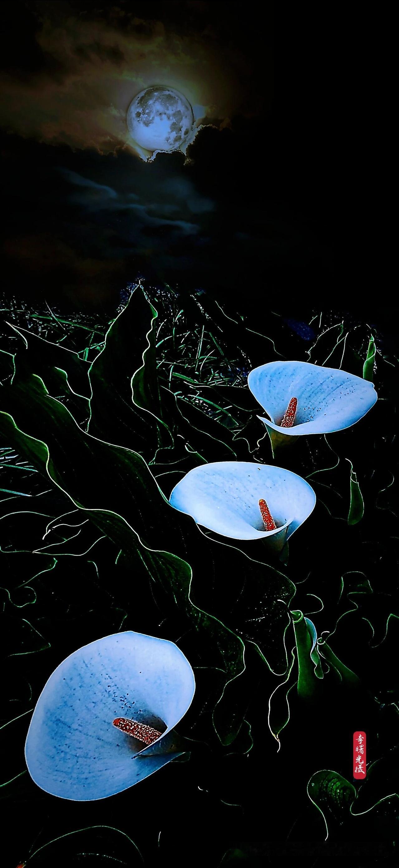 习武人梦寐以求的“骨力”，到底是什么？

很多人练拳，压腿、劈叉、下腰，筋抻得嗷