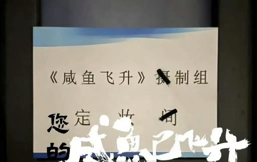 咸鱼飞升定妆了咸鱼飞升定妆了！咸鱼飞升定妆 ​​​