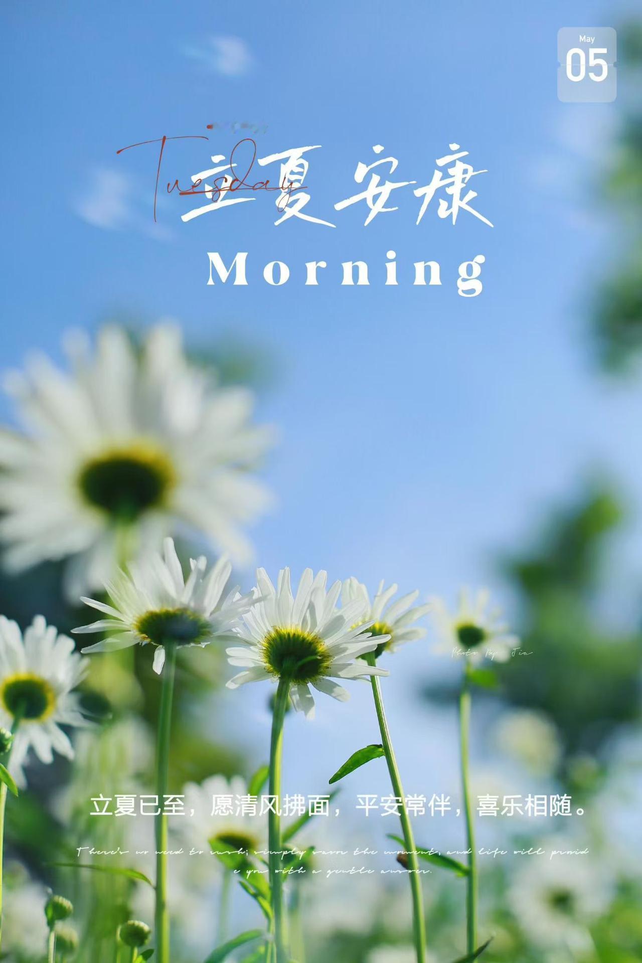 ☀️
美好的一天开始啦！

春尽随风去，立夏悄然来，小长假最后一天，愿日子向阳，