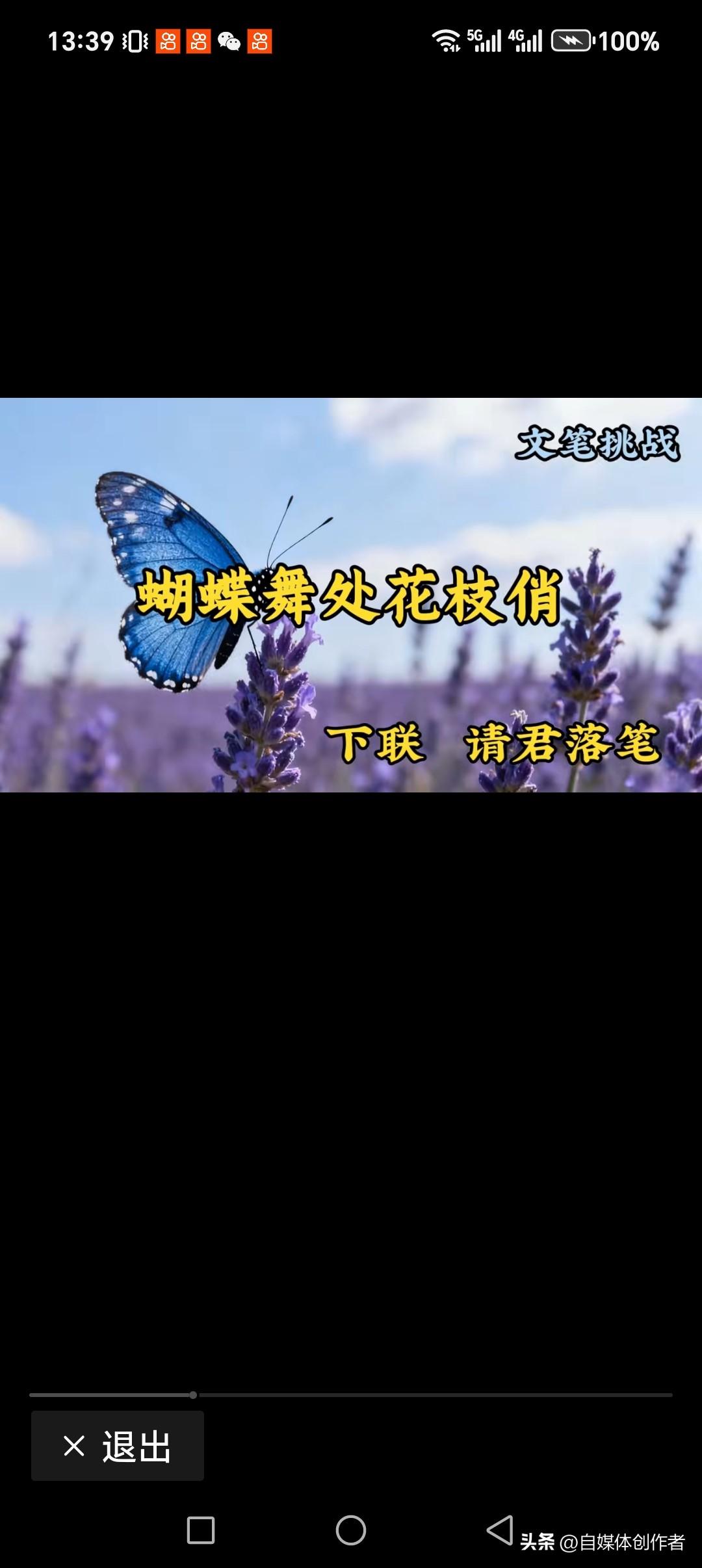 蝴蝶舞处花枝俏
河豚戏水好时光