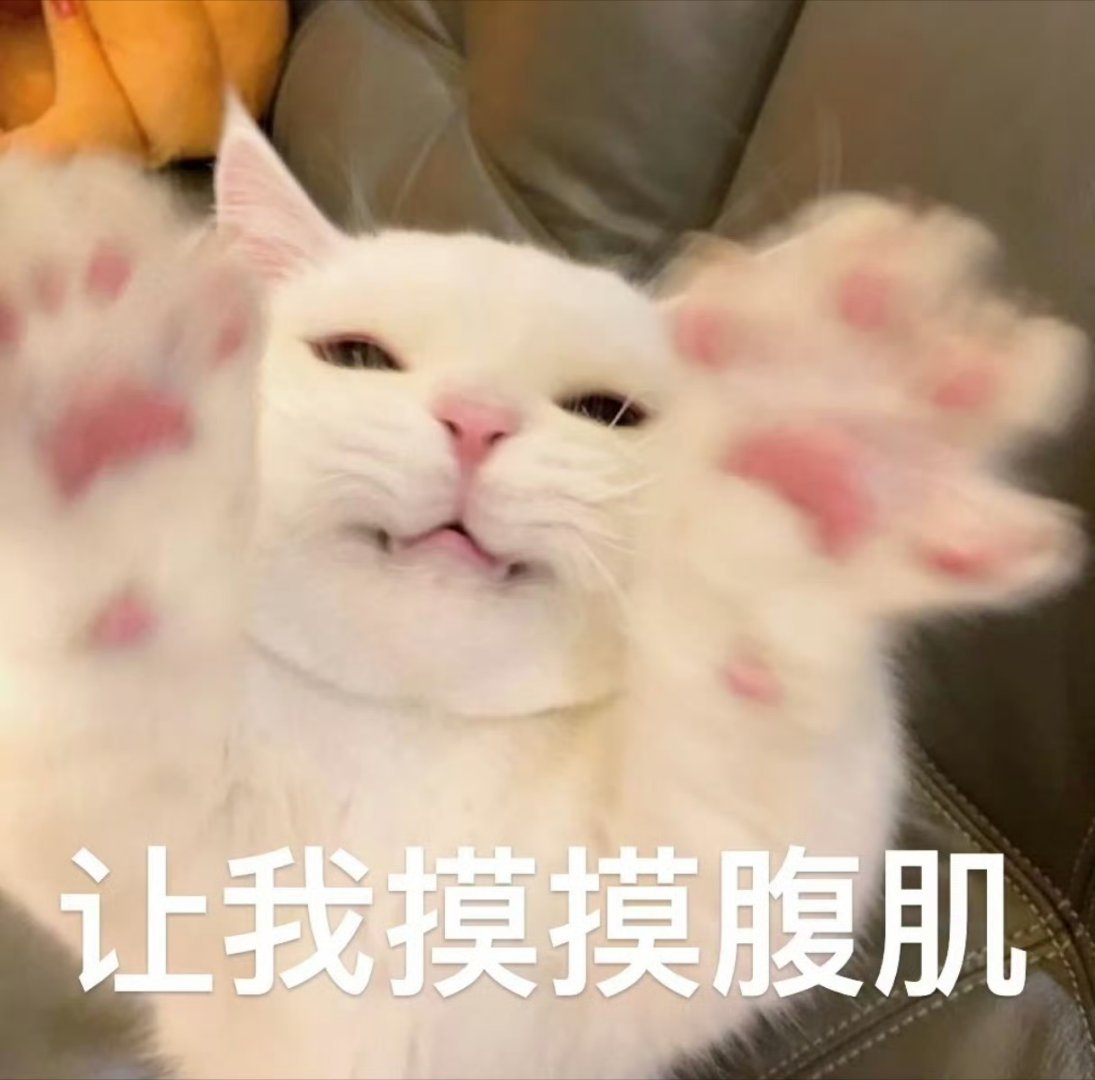 沙沙