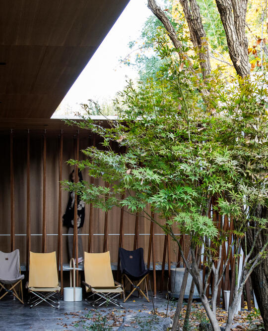 陶磊建筑·北京满园，城市一隅中的自然秘境