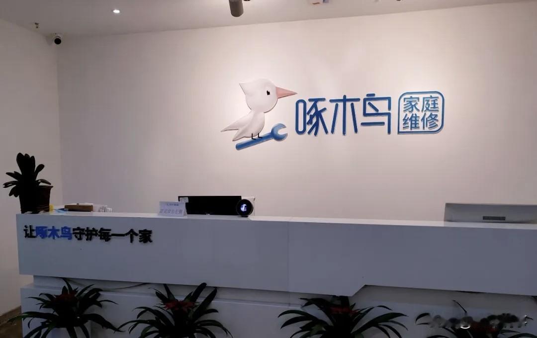 啄木鸟啊你怎么能这样呢！
南京65岁的独居老人家里跳闸，啄木鸟的师傅上门换了个市