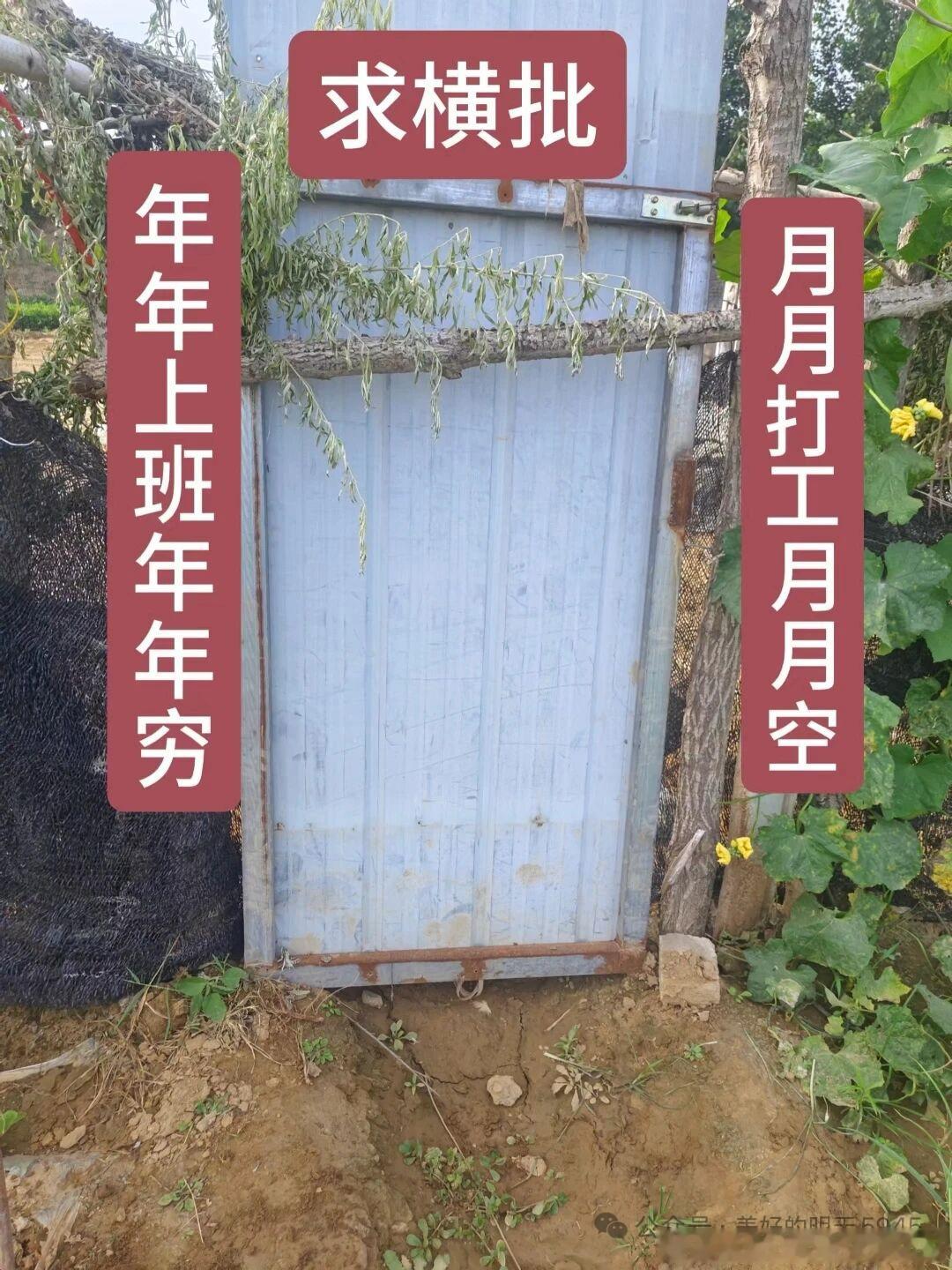 都怪美帝 