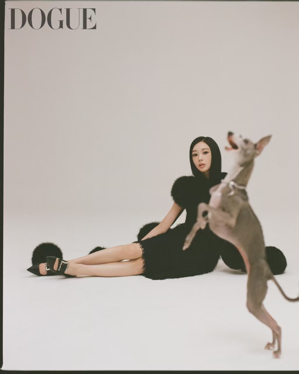 Giselle韩版vogue特别版duguegiselle携爱犬vogue特别刊