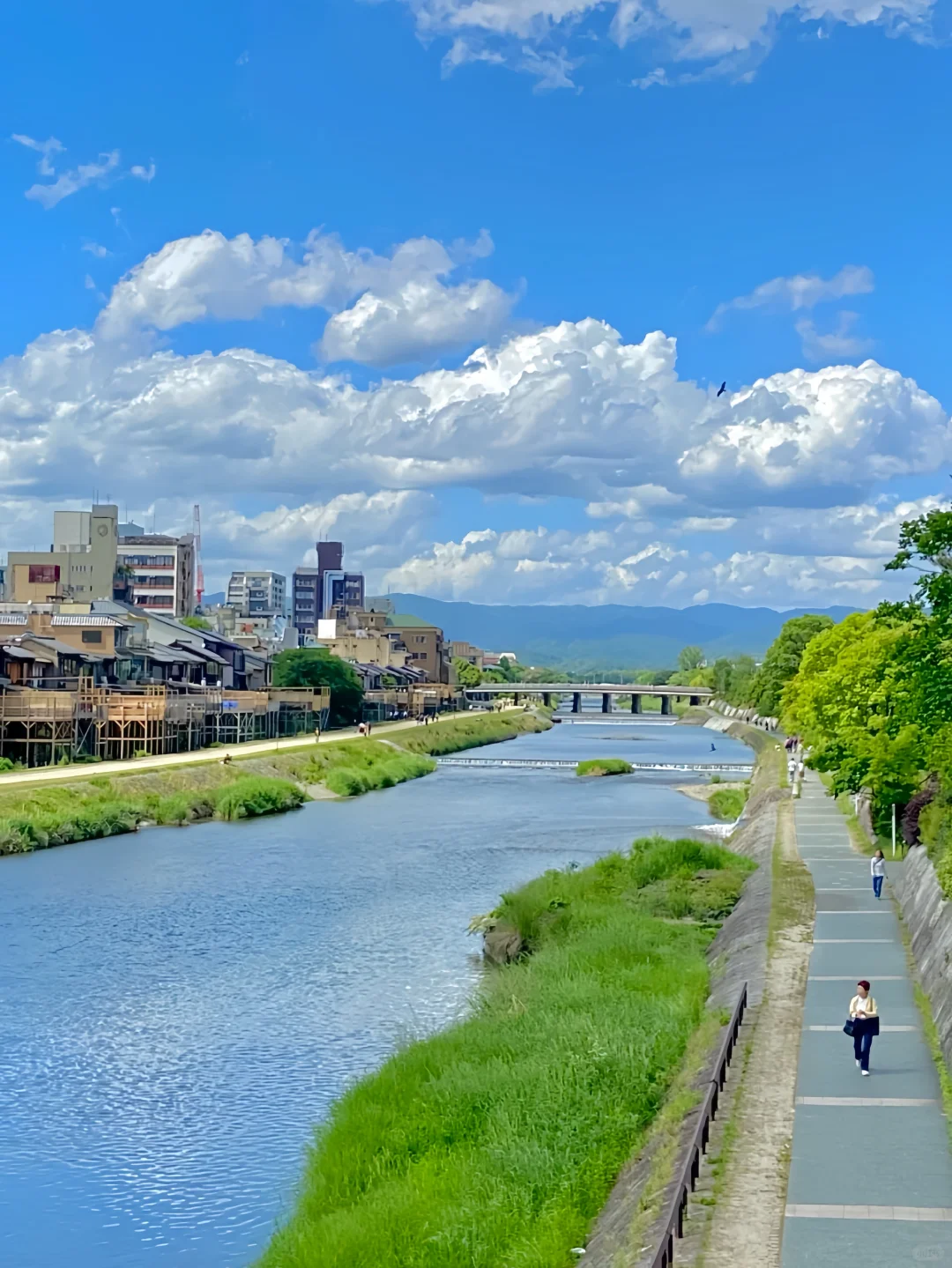 🇯🇵鸭川20分钟效应🦆🕓