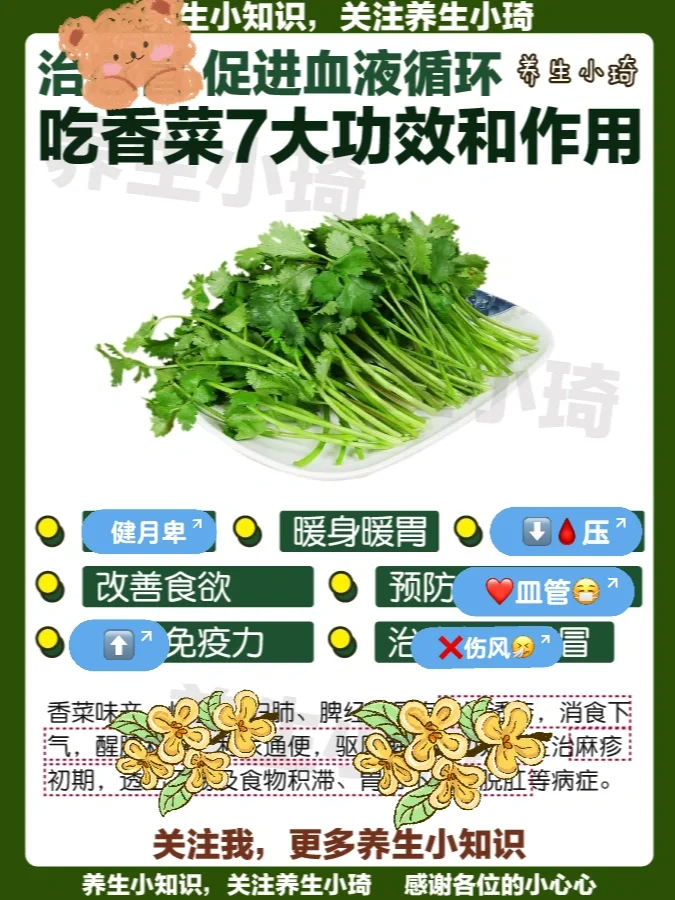 你爱吃香菜吗｜