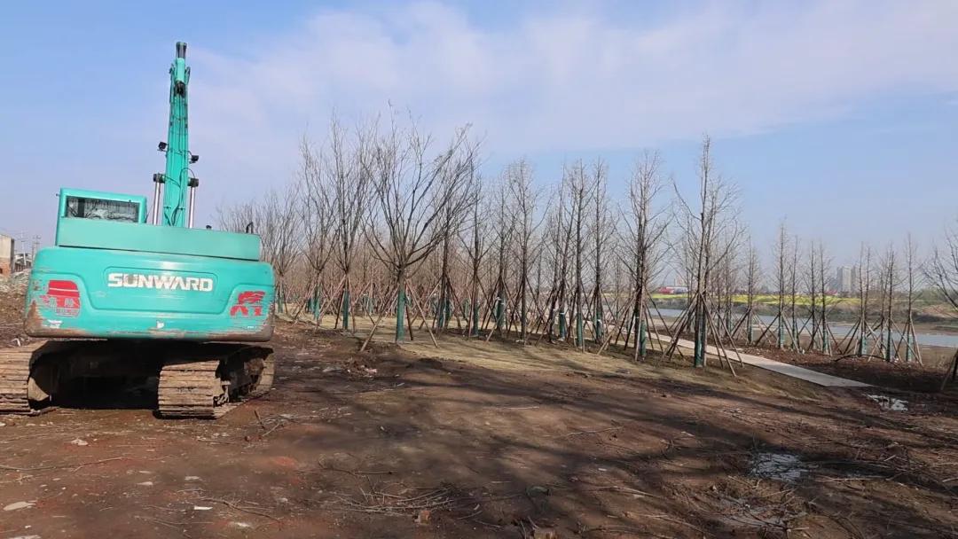 颜值与民生双提升！南县沿江风光带建设初见成效