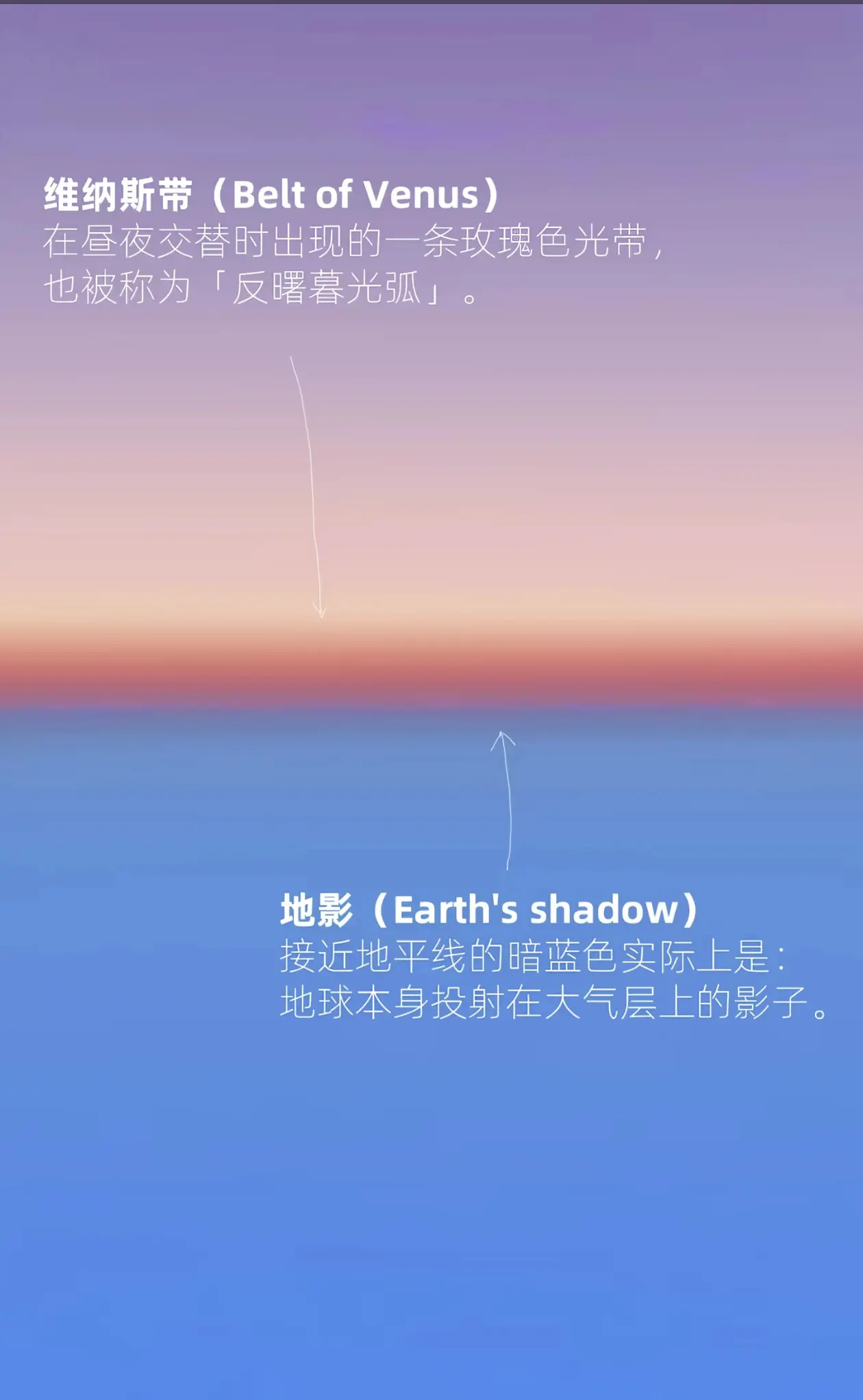 维纳斯带是藏在日落的反方向的浪漫。维纳斯带是一条在地平线上方10-20...