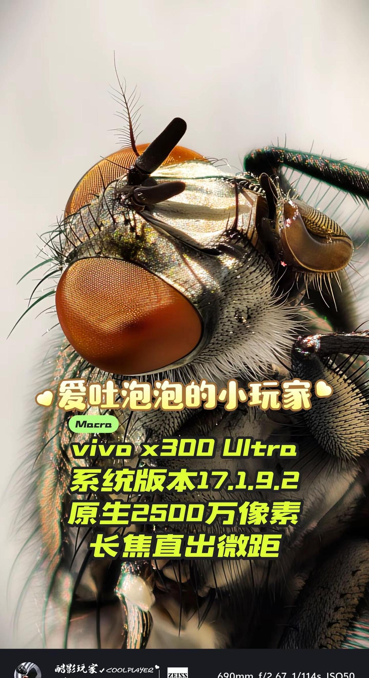 这恐怖如斯的蓝图影像。vivo x300 Ultra在微距摄影这一块始终保持着恐