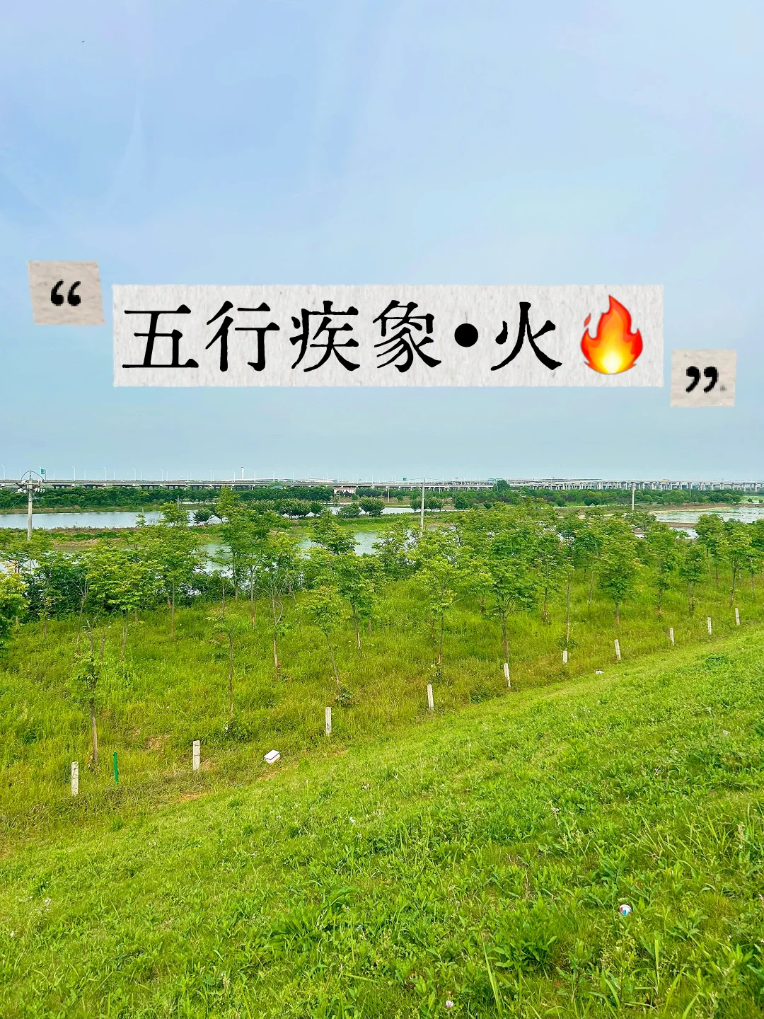 五行疾象•火🔥
