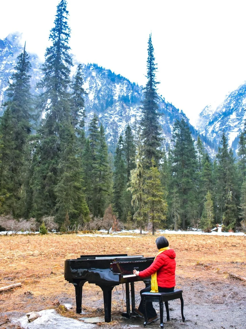 西安周边游| 闯入📍白马王朗的冰雪童话！