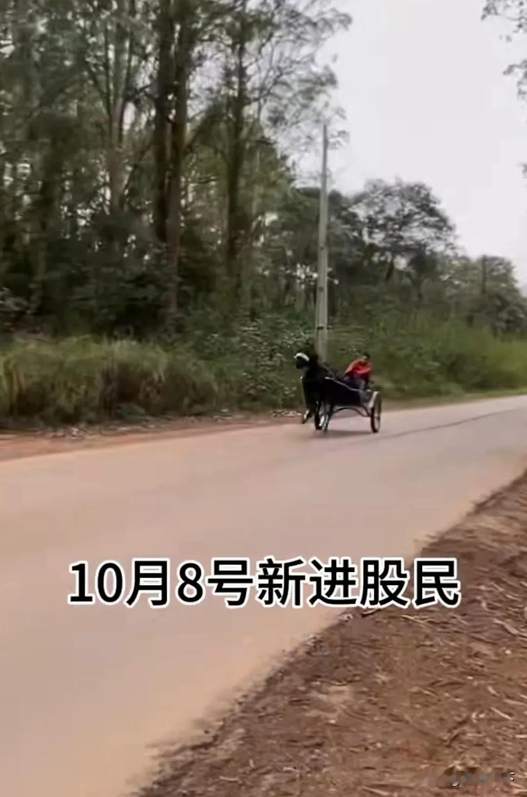 股民的状态……
10月8号股民：疯狂入市
10月9号股民：痛哭流涕
10月10号