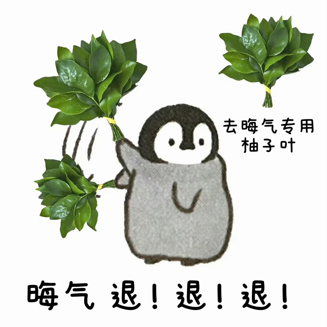 互联网乞丐残疾瘸腿女什么时候独立行走站起来做人不做倒贴🐶 