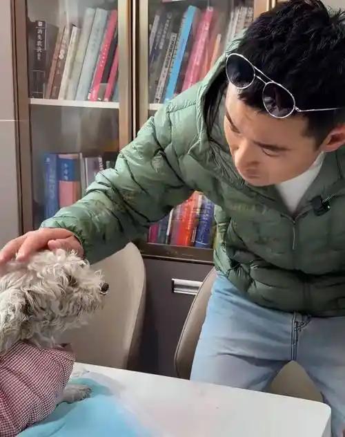 王彦霖车流中救下受伤母狗，实际状况比看上去更糟。
10月28日，王彦霖发布一段视