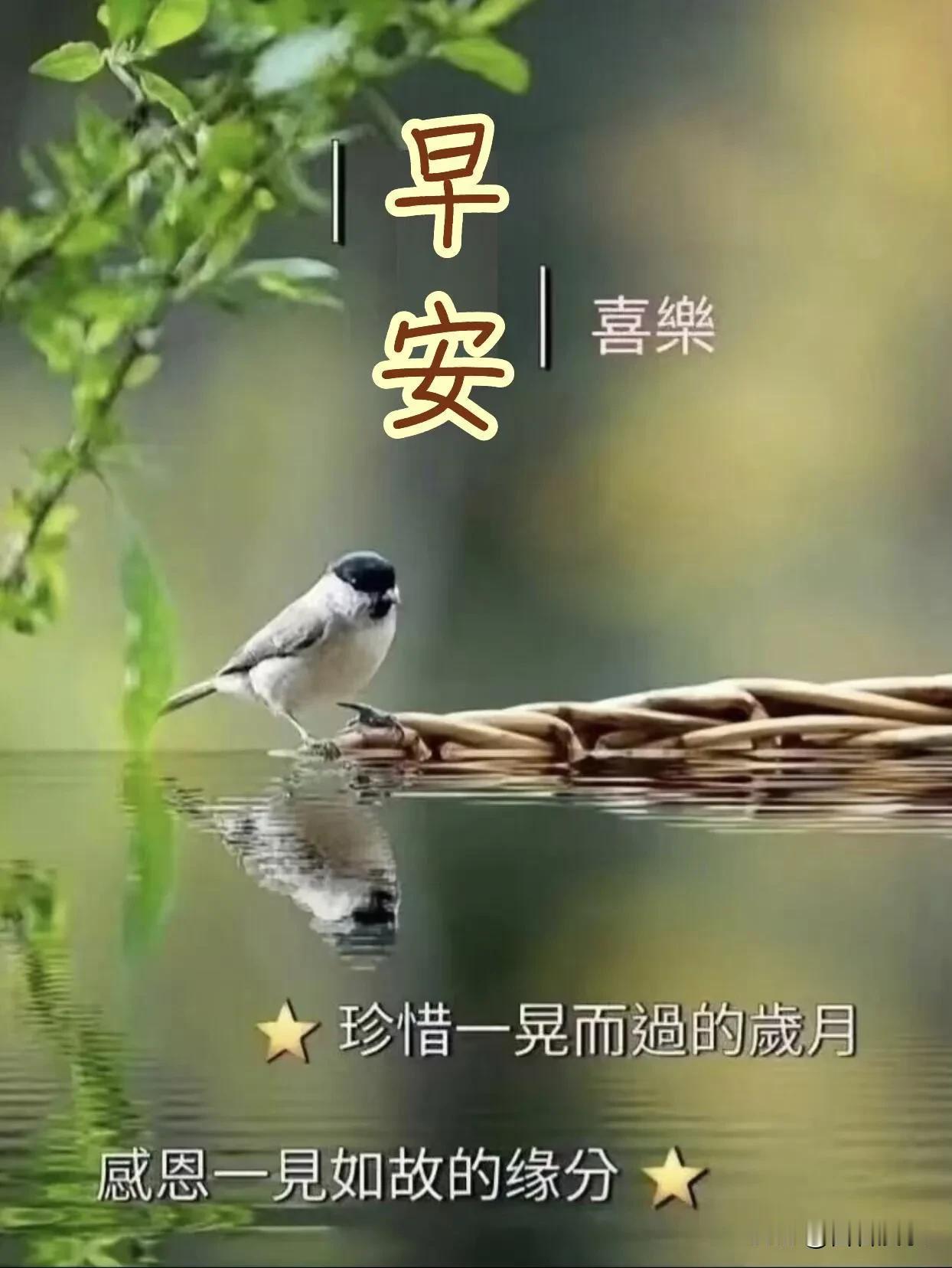  推开窗便是春风，抬眼即是温柔，新的一天，好好爱自己，认真生活，早安。