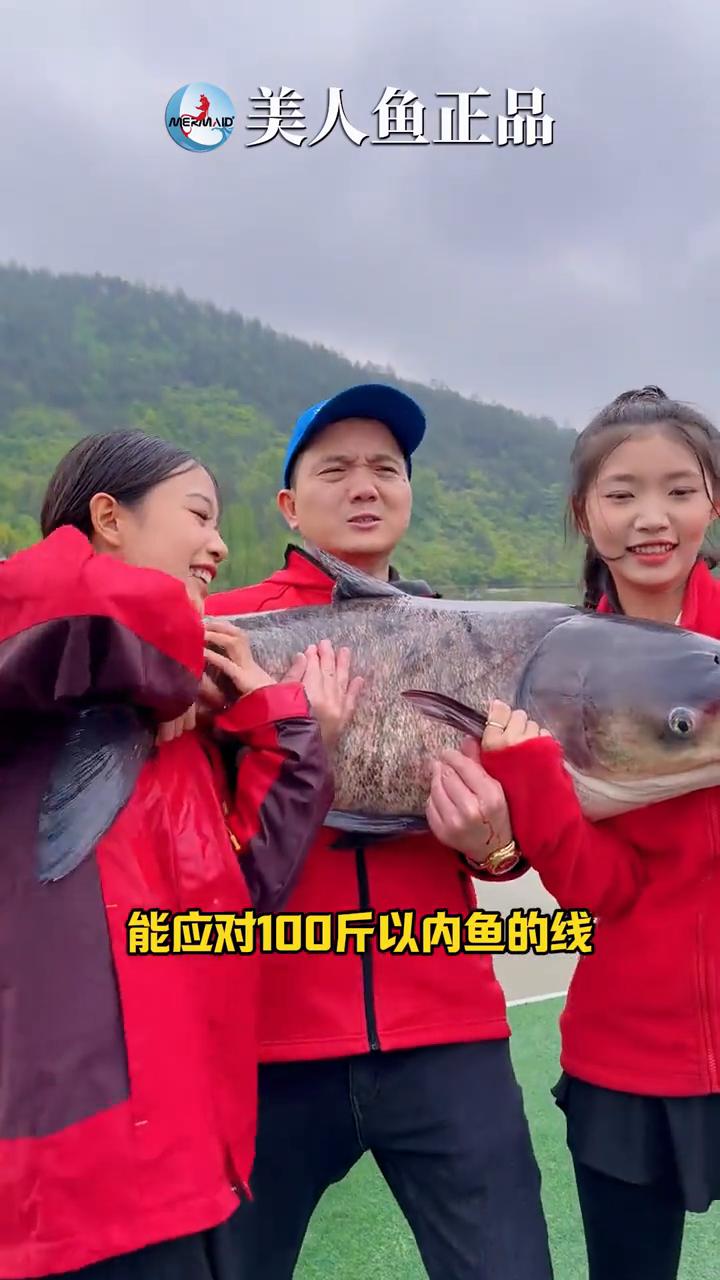 美人鱼正品。
24款线号选择跟30米到200米的长度选择。很多钓友习惯使用适合1
