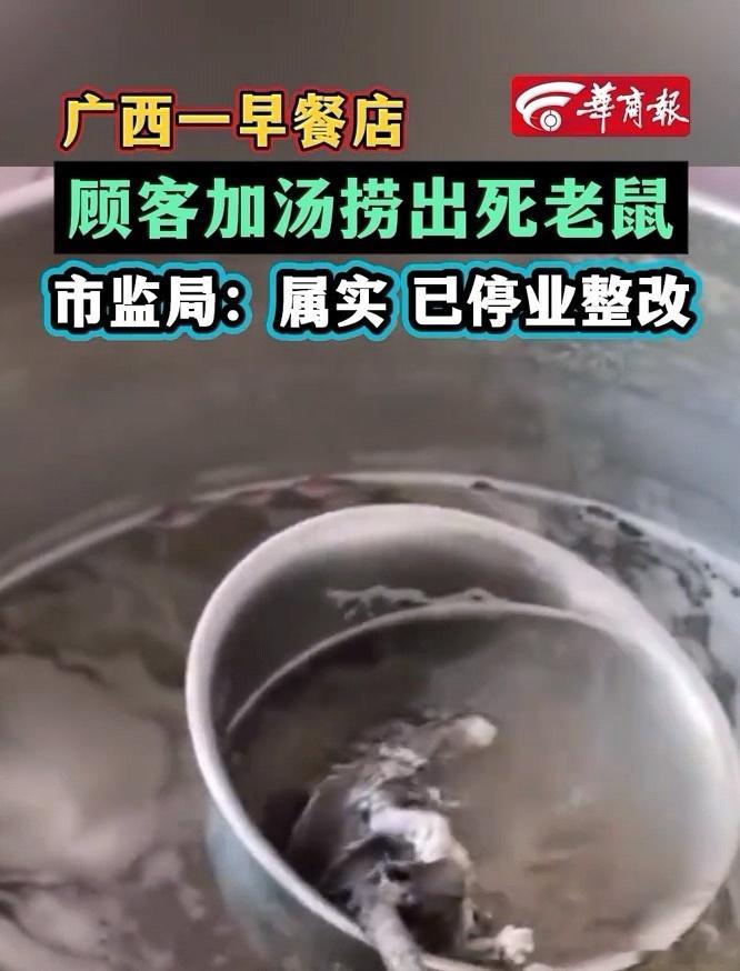 男子早餐店加汤，竟从汤锅中捞出一只死老鼠，老鼠脚已熬得发白！早餐店汤里死老鼠脚已