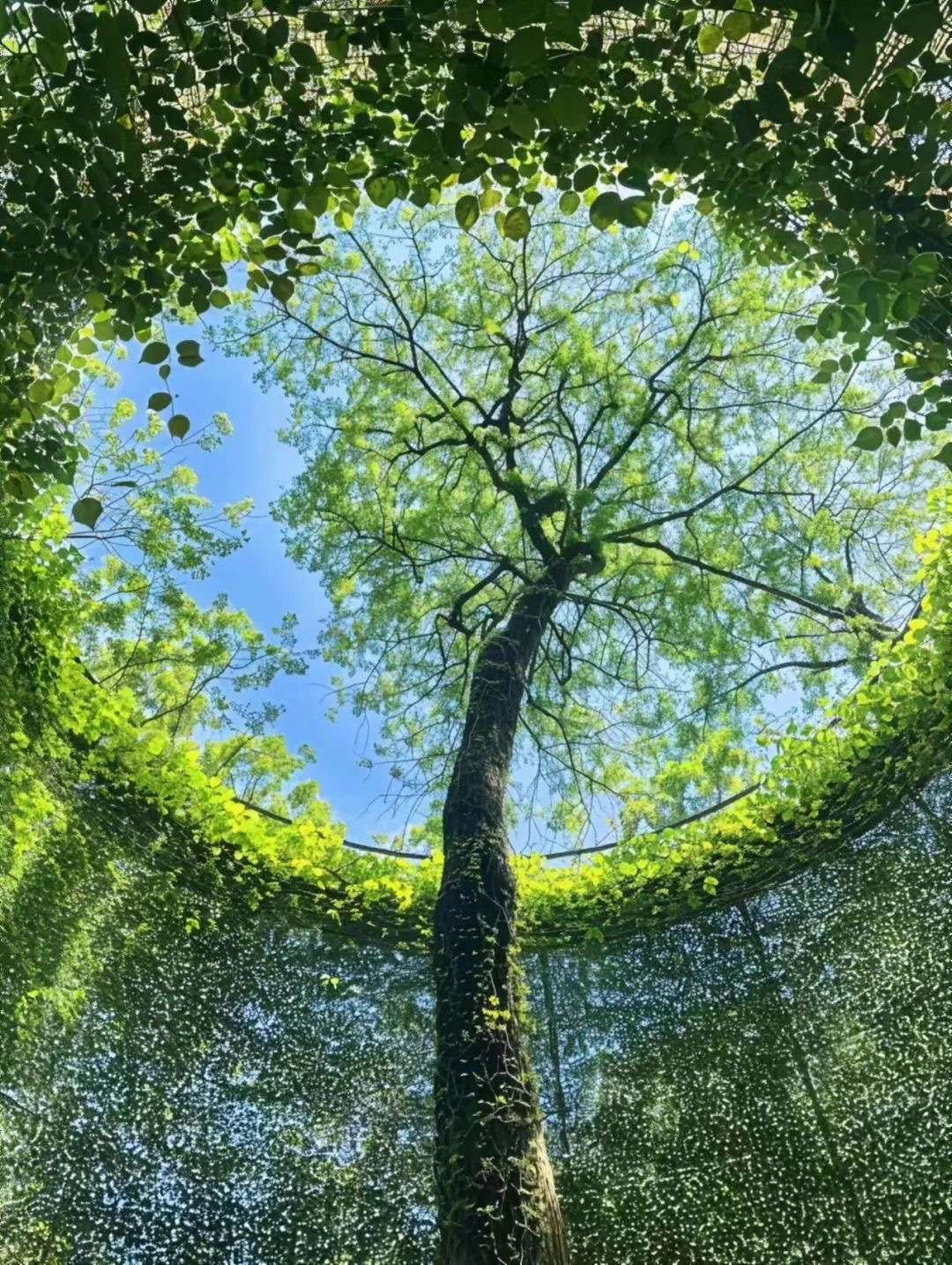  中小学考试，都是先考“语文”，这不是什么规定，也不是什么习惯，而是一种科学。语