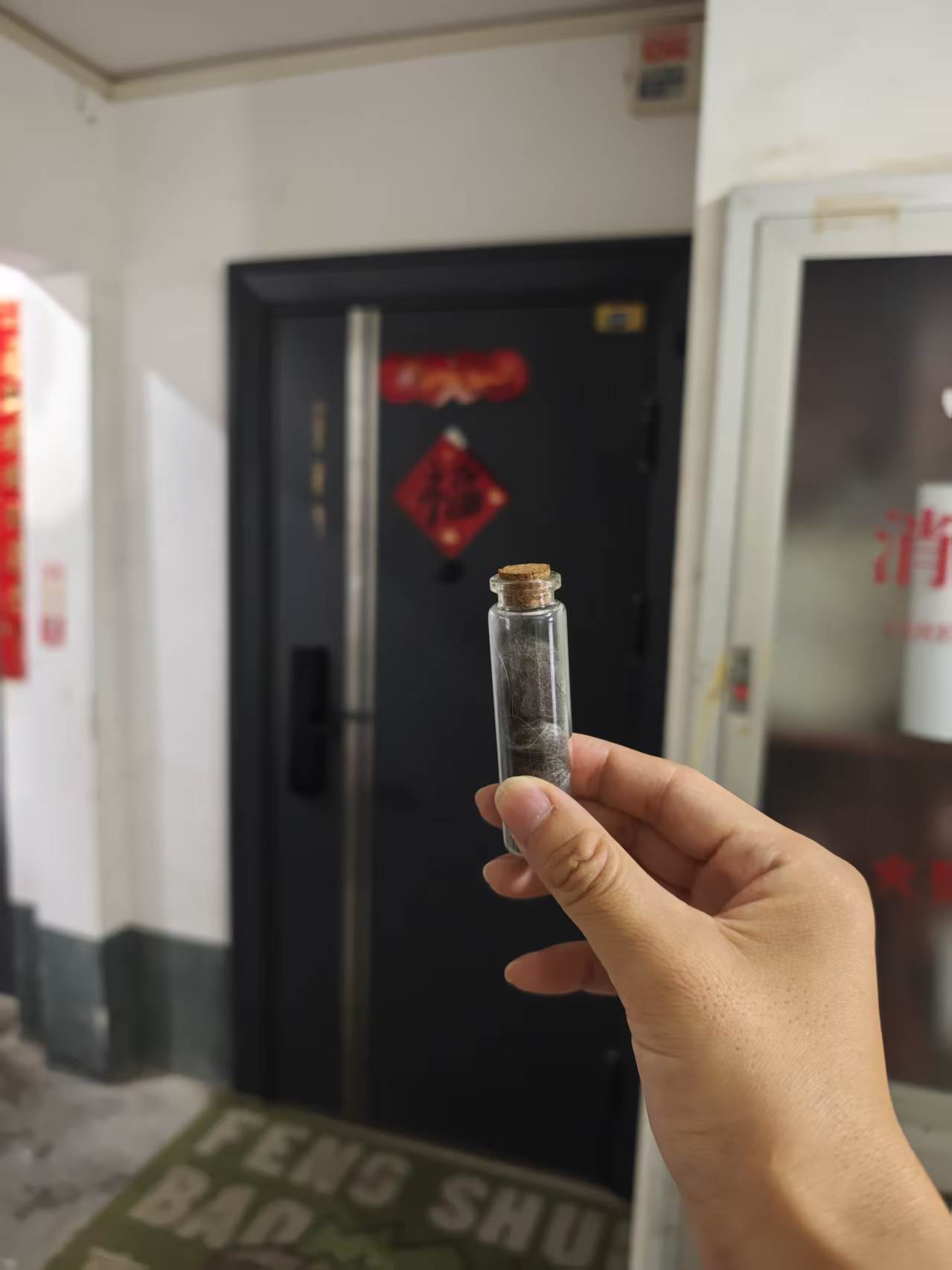 今天周一，工作比较多，又不在家，忙忙碌碌的就还好点。不会一直想着小狗。小圆就比较
