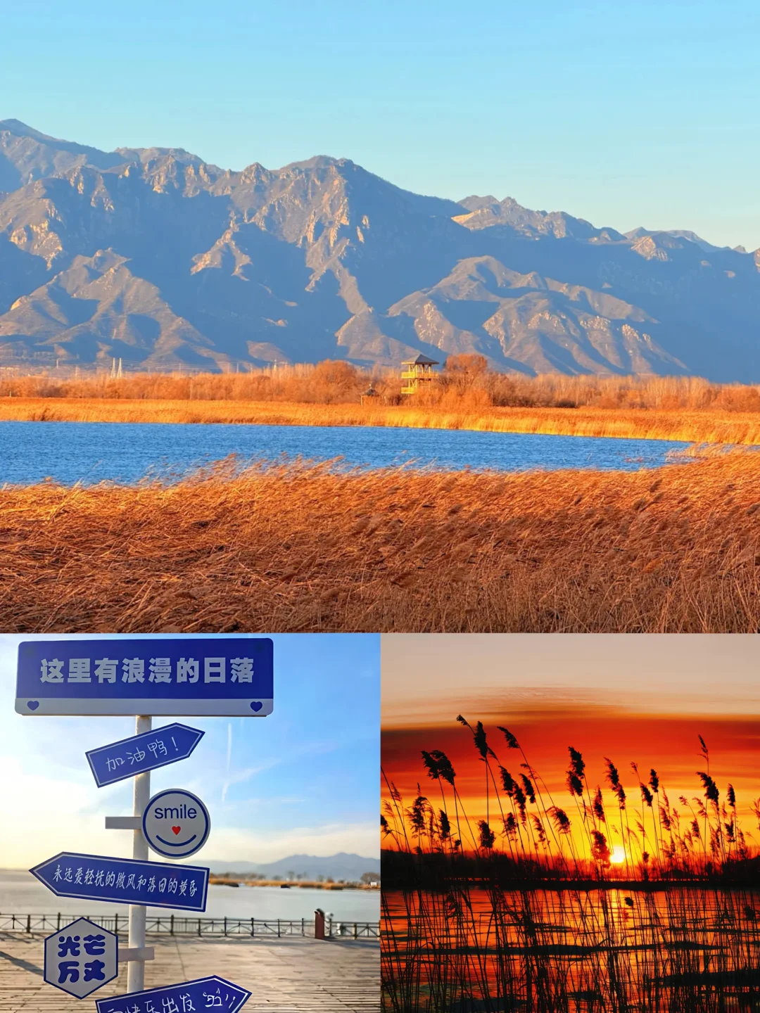 🌄冬日日落+芦苇荡治愈图鉴