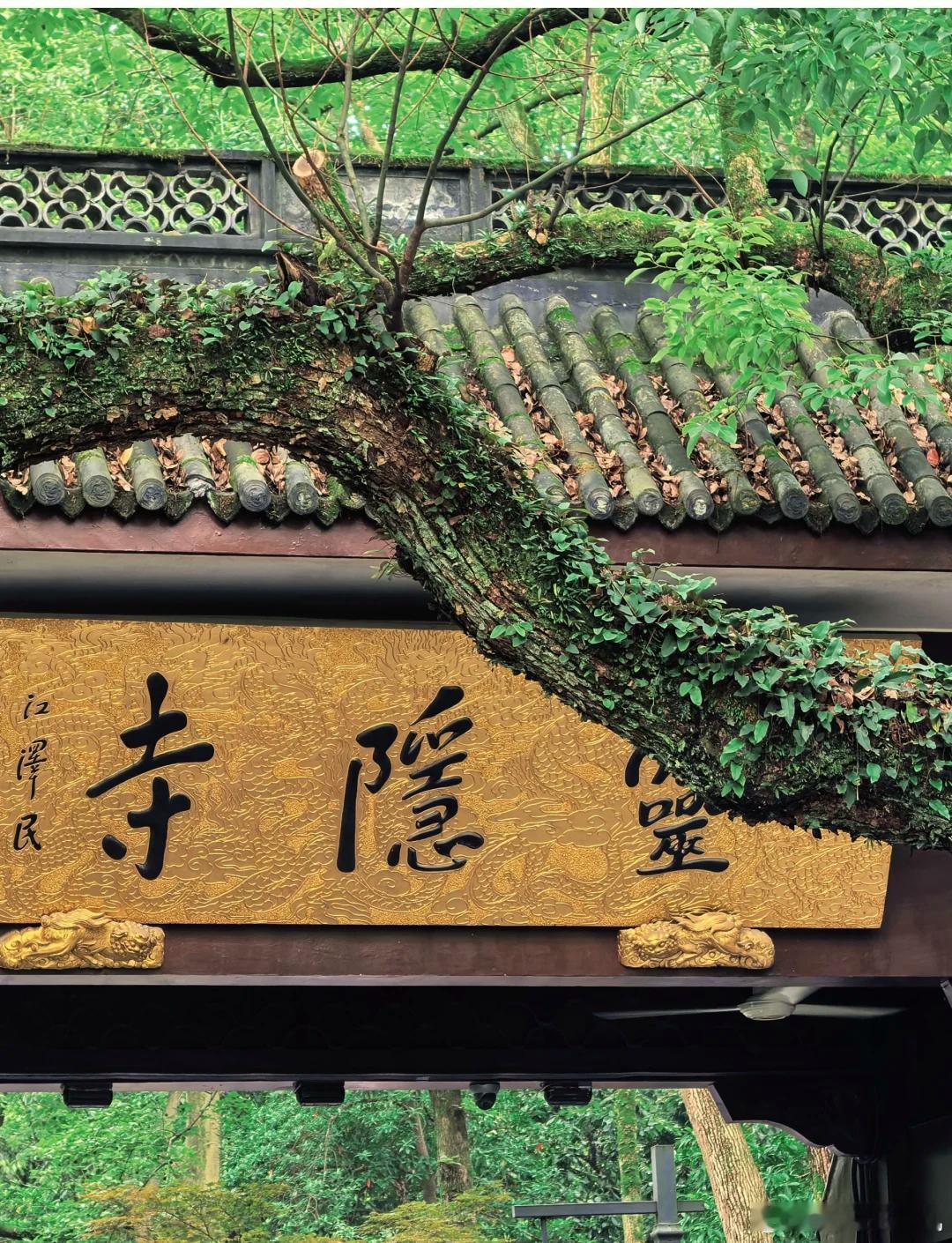 灵隐寺被38万鸽王上了一课得有信用机制约束才行，就像深圳这边许多景区公园都免费，