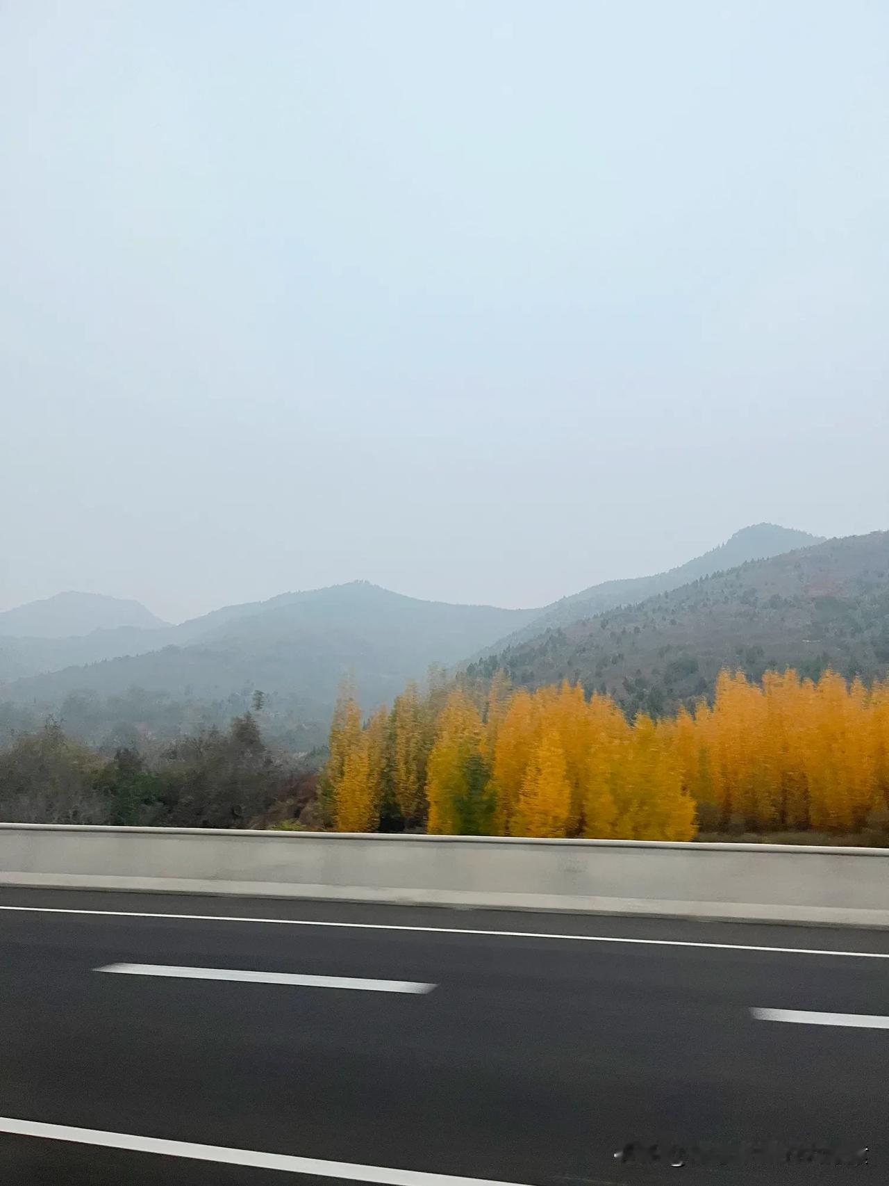 昨天去莱芜和博山古村玩
返程经过莱芜高新高速出口附近
前面一辆黑色红旗鲁SF27