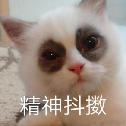 上班的时候，很羡慕自由职业者时间自己安排，有事不用和单位请假现在真自由了，手机是
