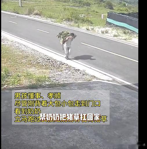 男孩中考结束刚到家就去帮奶奶背猪草 长大了，也是最孝顺的好孩子点赞点赞赞赞 