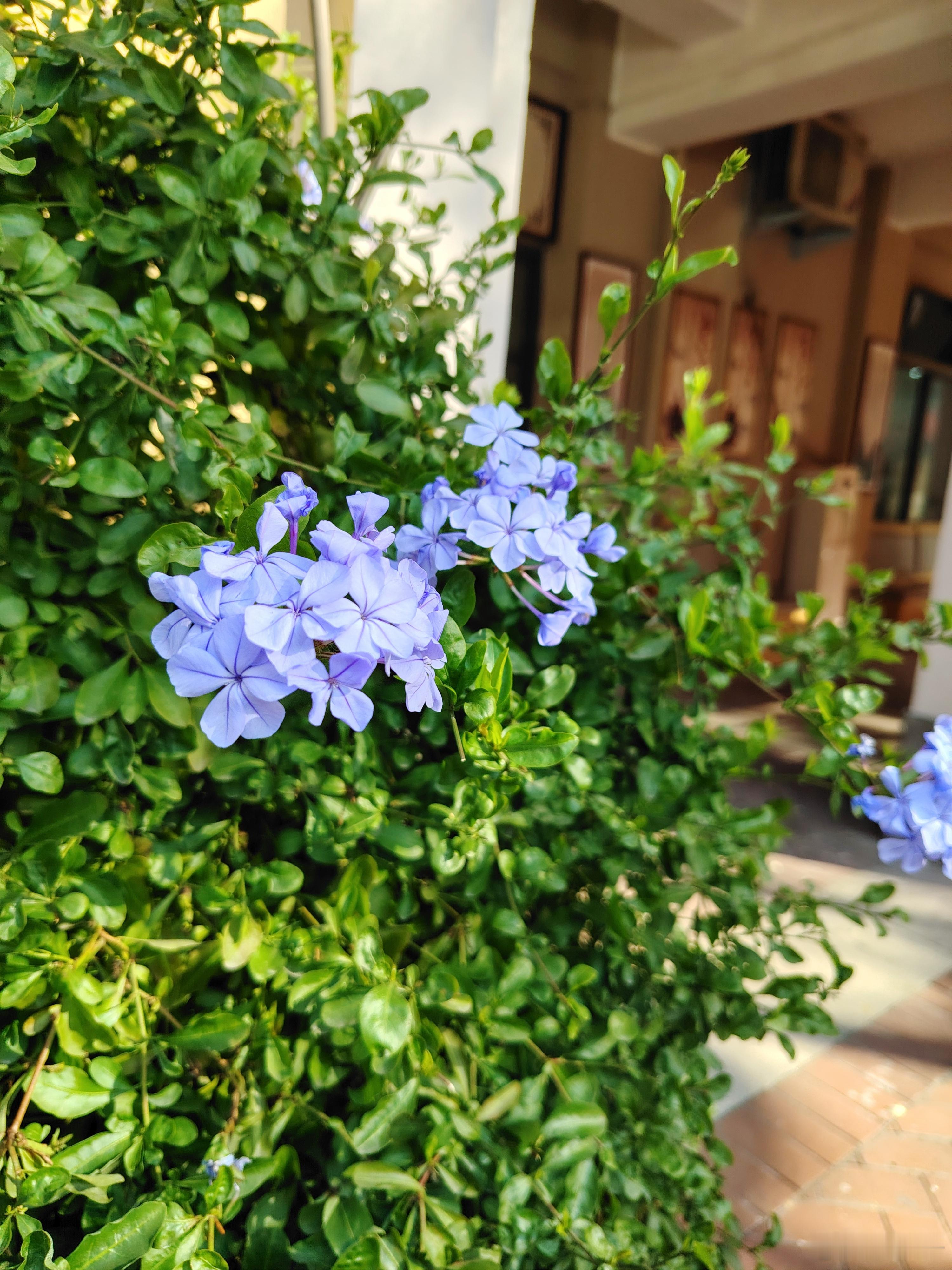 做自己的守护神❤️正向正念，感恩❤️ 