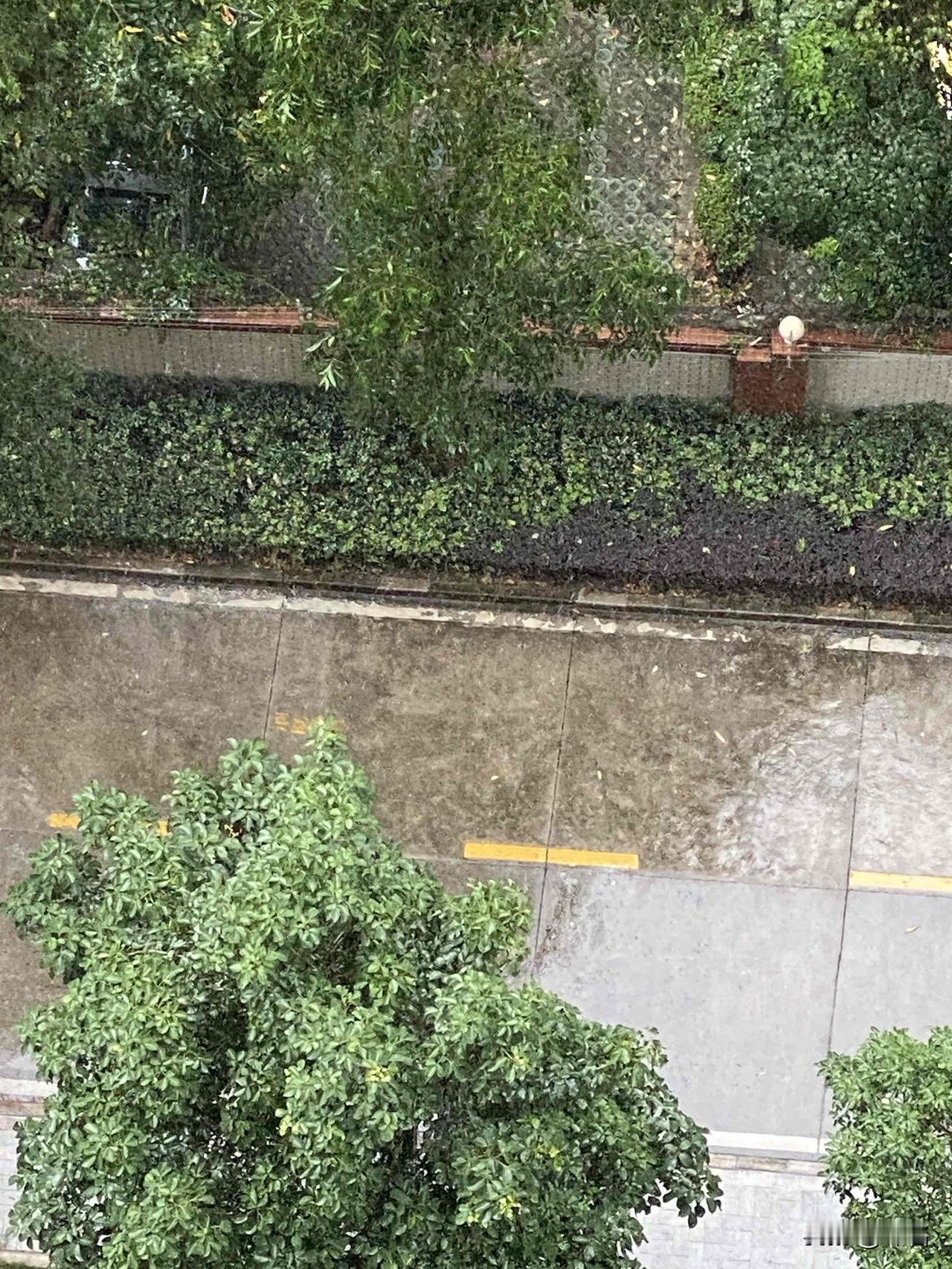 4月24日 日记

今天日程安排满满的，脚步没停下，琐事一桩接一桩，忙得几乎喘不