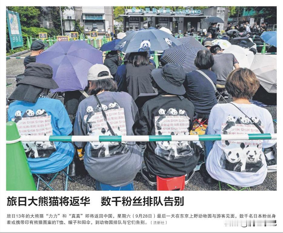 20240929 星期天
《联合早报》

旅日大熊猫将返华数千粉丝排队告别

旅