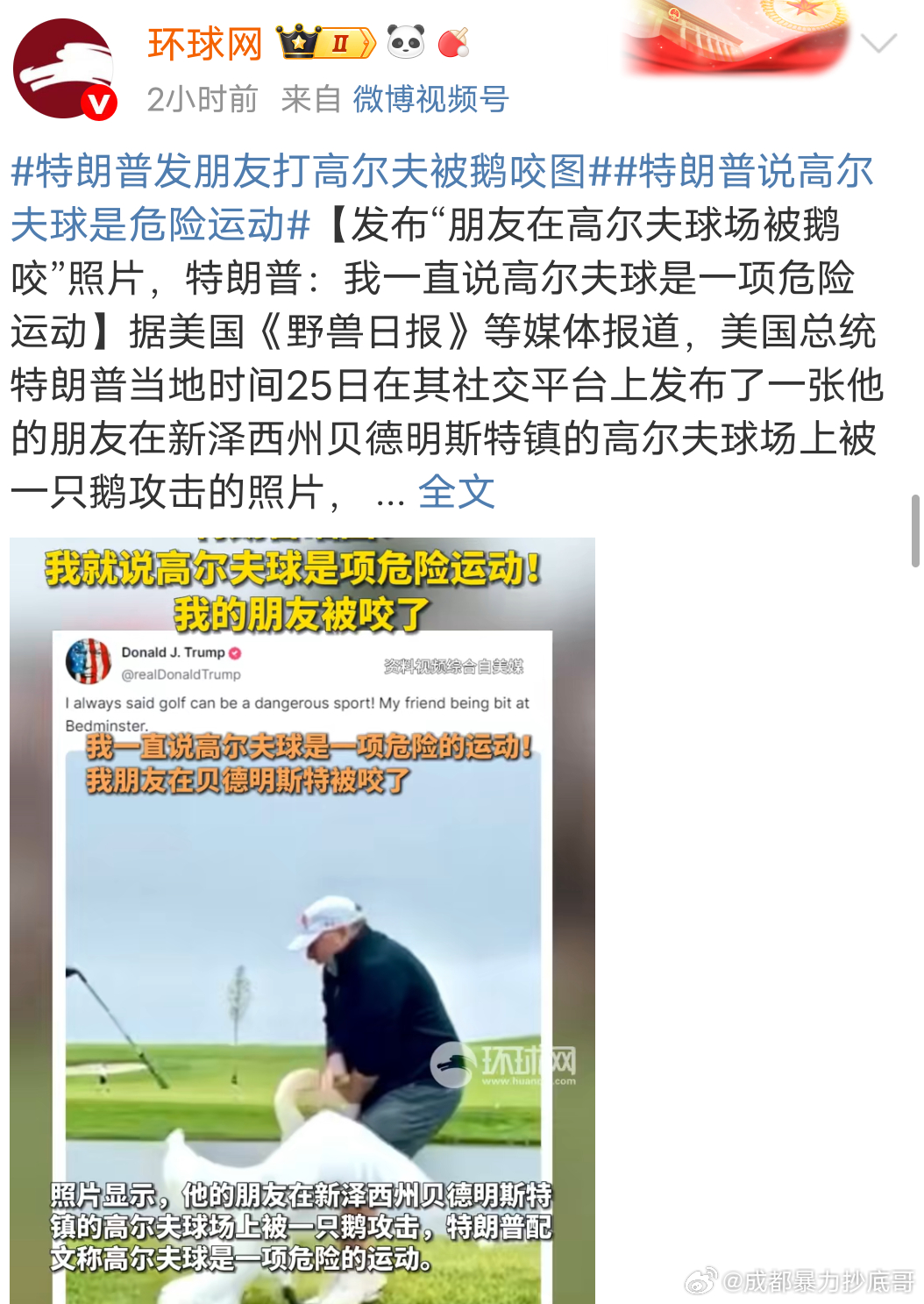 大鹅咬错人了 ​​​