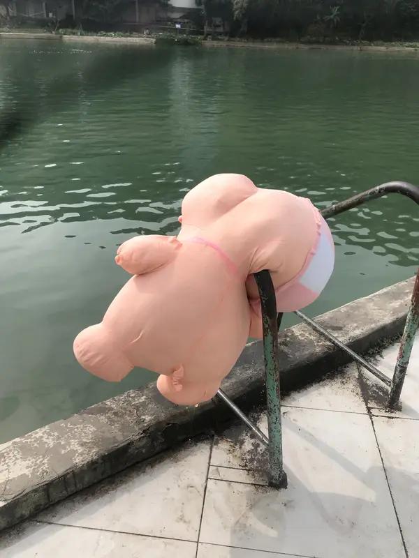 重庆女孩呆呆求助按猪一天涨粉150万，这事儿太炸裂了！1月9日她发求助时账号粉丝