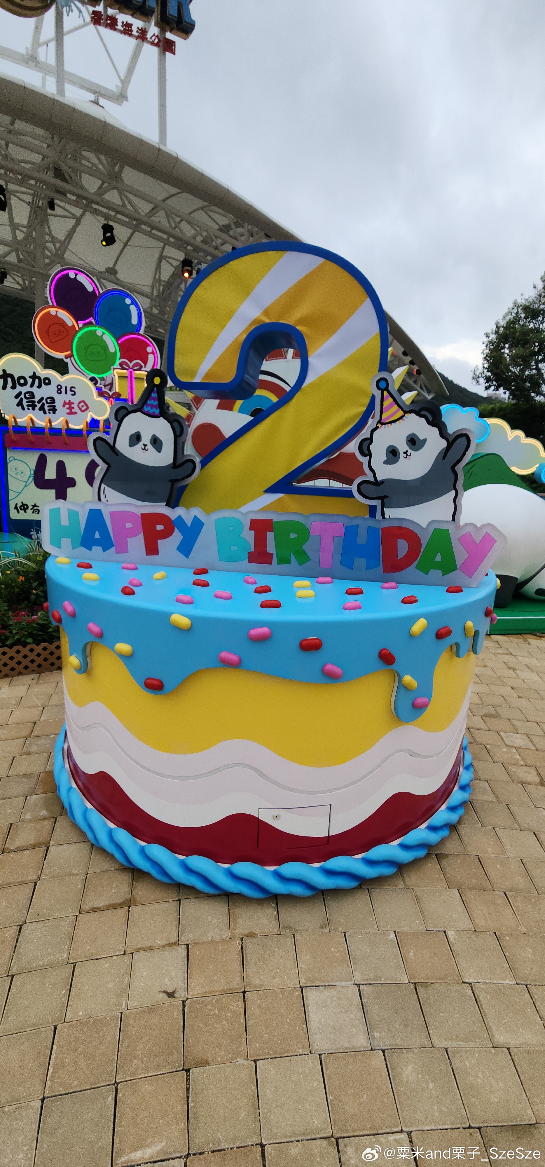 今日安大爺，可可 7 歲生日!大熊猫熊猫大熊猫