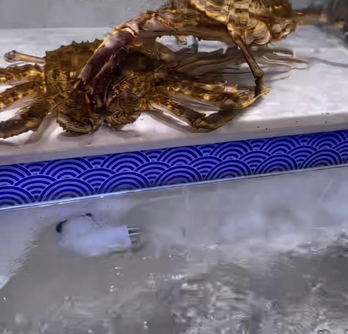 可怜的女儿并不知道，
由于爸爸舍不得买门票，
带她看了一年的海洋馆，竟然是超市水