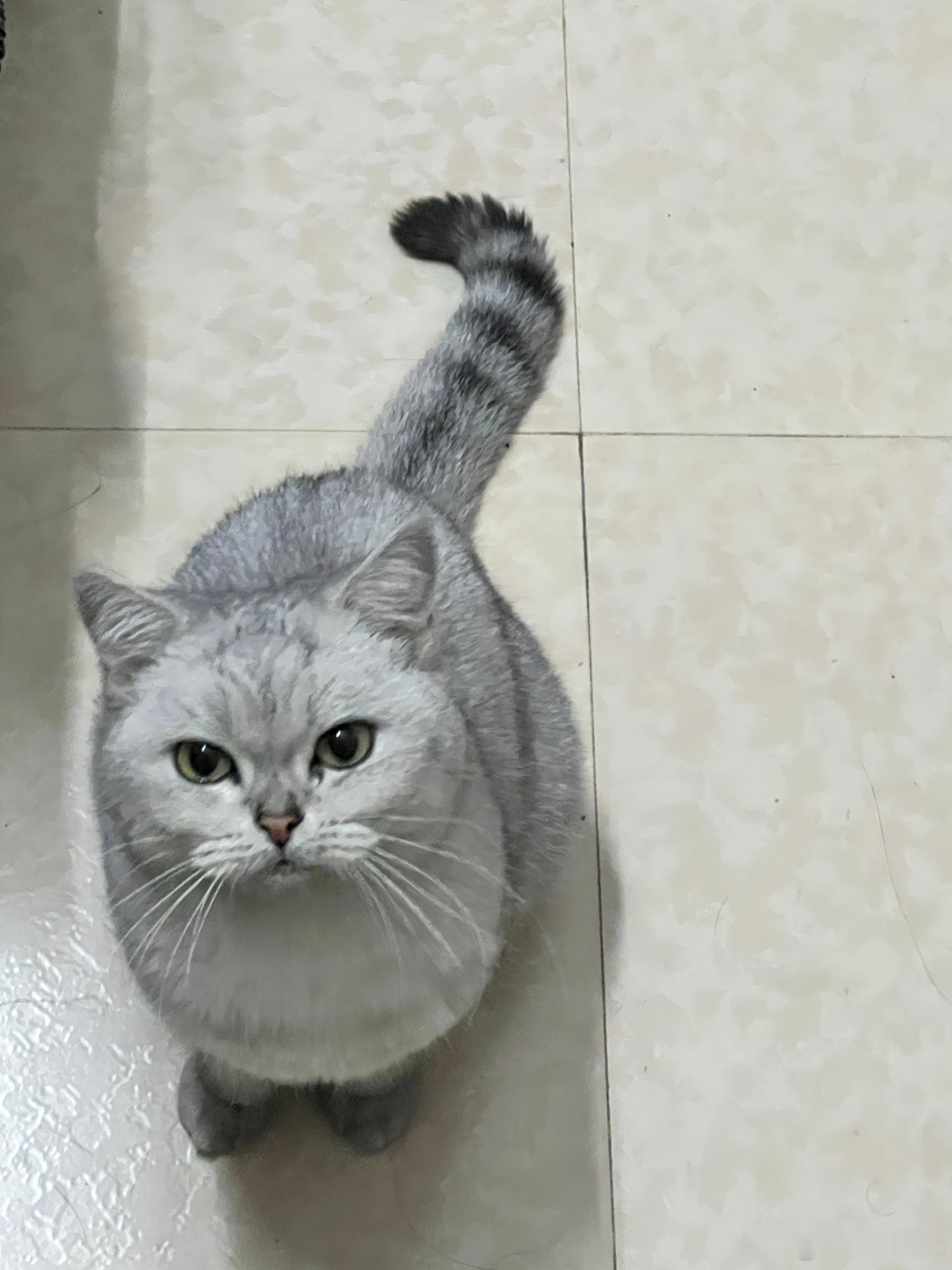 不是哥们 你谁啊 咋进来我家的啊