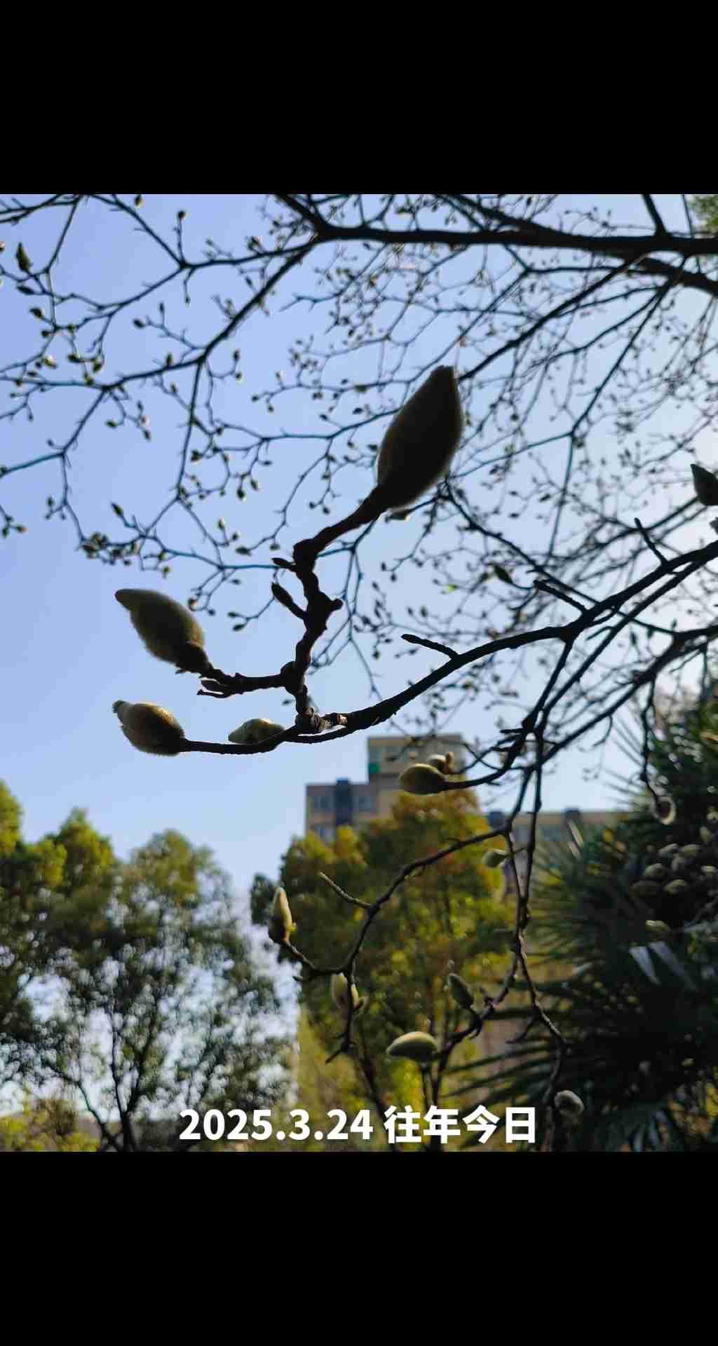 我的今日状态：😁轻松愉快
我这里的天气：🌤️多云