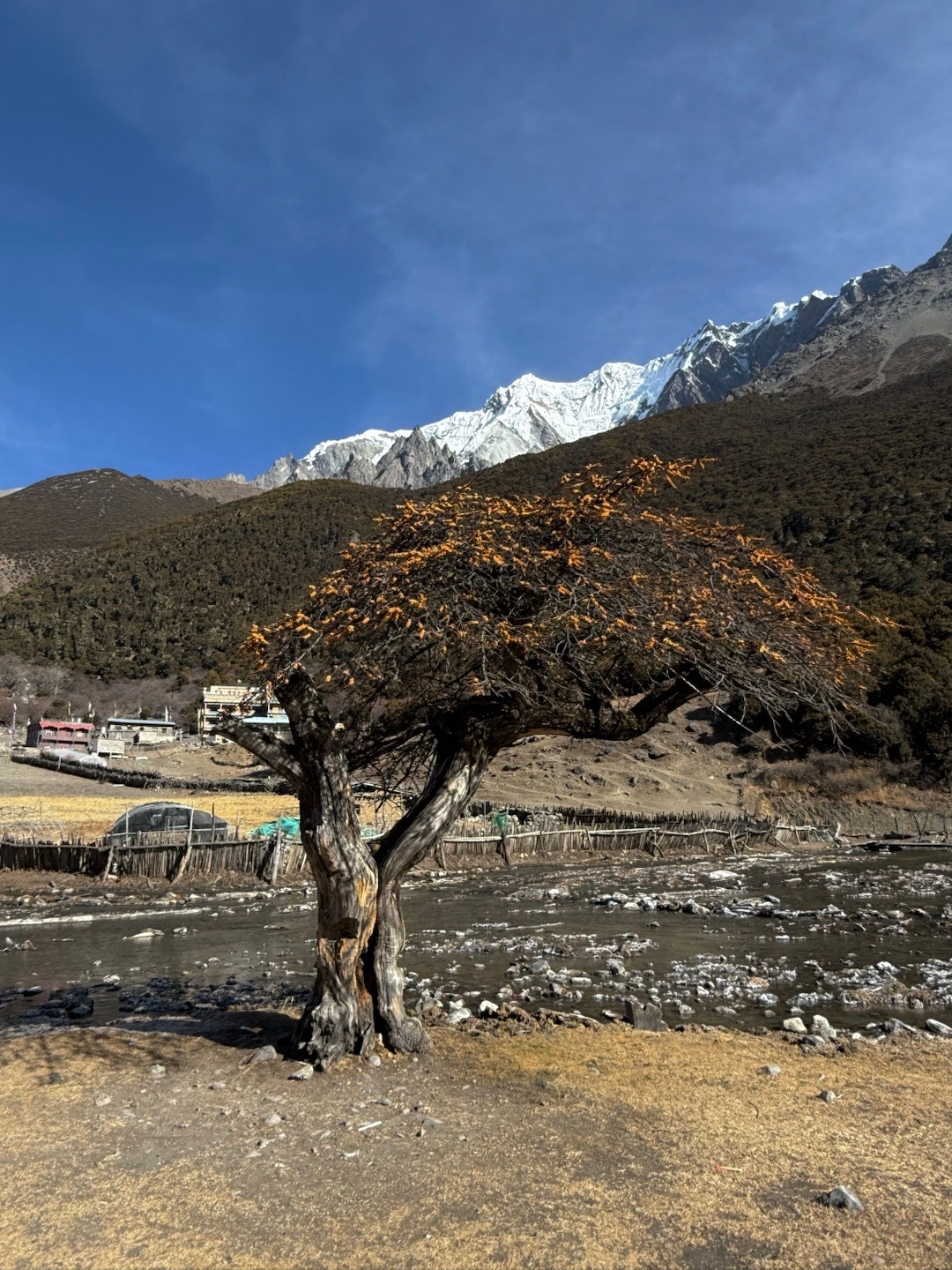 🏔️甲应村｜走在云端之上 此刻世界在我脚下梅里雪山西面的一个小村庄说是只有4户