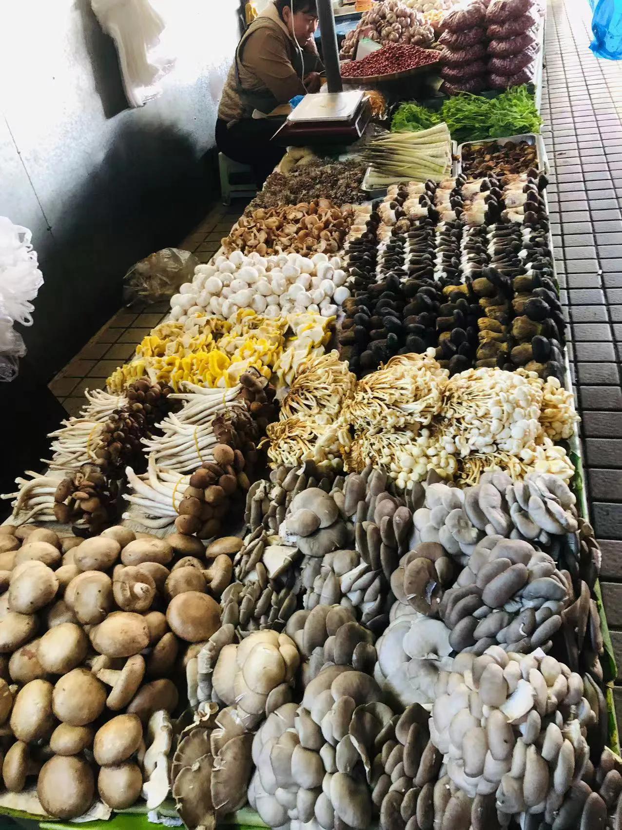 西双版纳的菜市场，看看人家的菌拼，摆放如此整齐，样品如此齐全，是不是有一种想尝遍