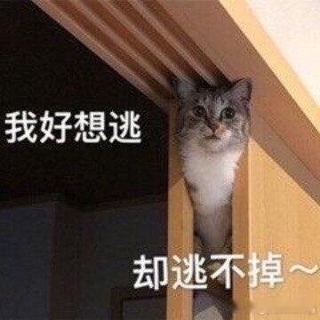 倒刺怎么办……我的手指总是有皮掀起来用指甲刀剪也是会流血照片不想发了……十个手指