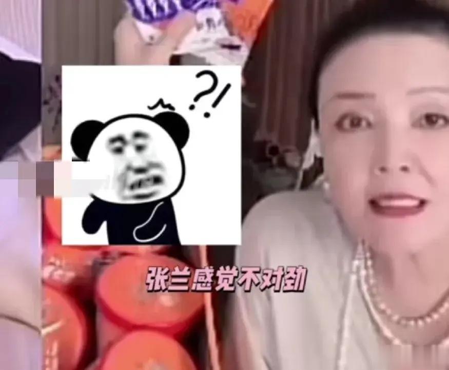 张兰真的被汪小菲整怕了！汪小菲直播连线张兰说：“昨天说复婚是因为…”张兰立刻慌乱