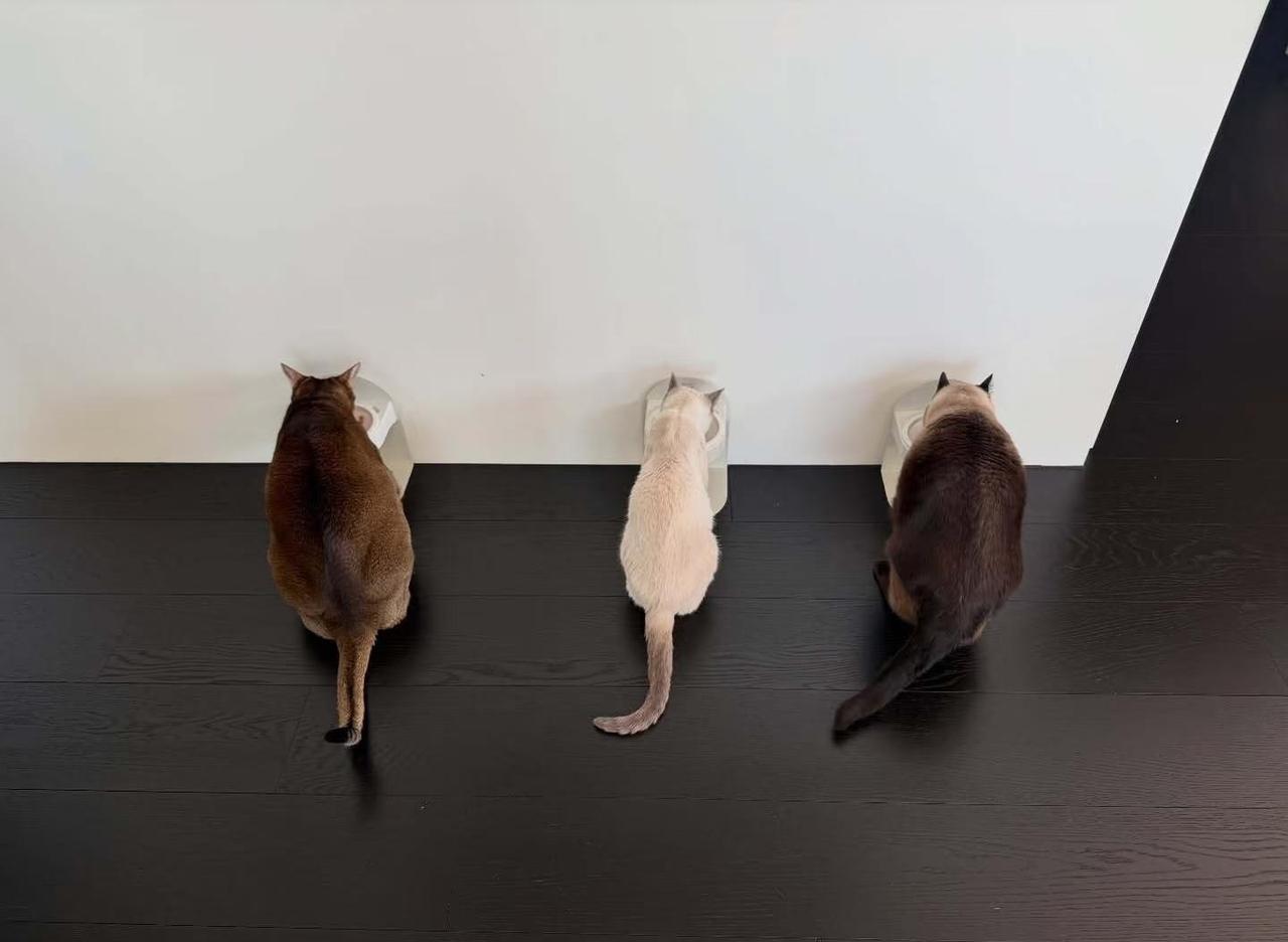 《咱们裸熊》谁懂看到这张图笑出来了
养猪能手李永钦！leon好像瘦了点 这个背影