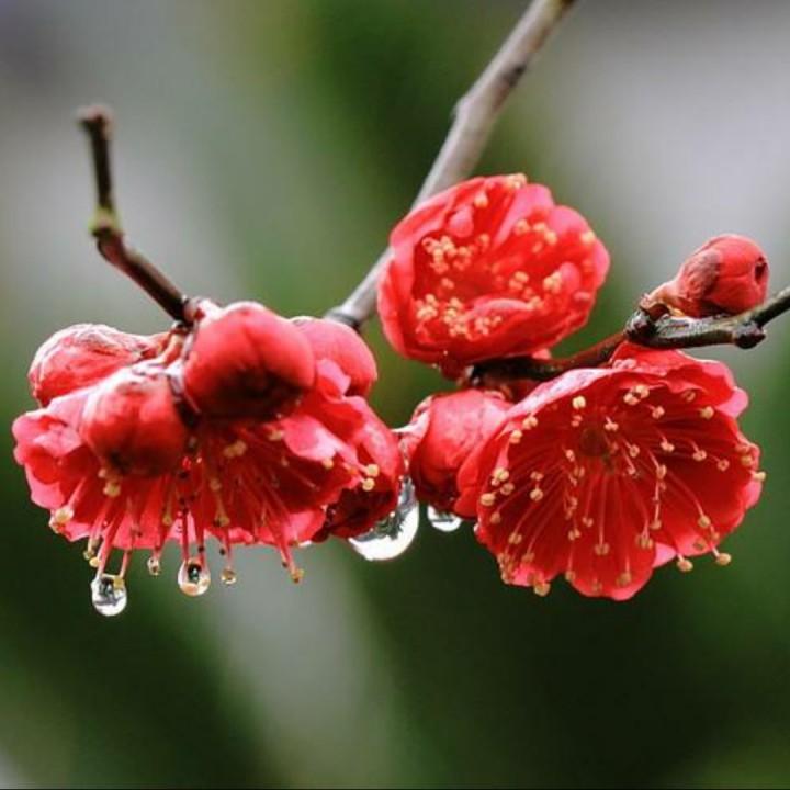 周四盘后突发重磅利好，周五沪指面临短期方向抉择！
周四盘后重磅利好如下：
一、据