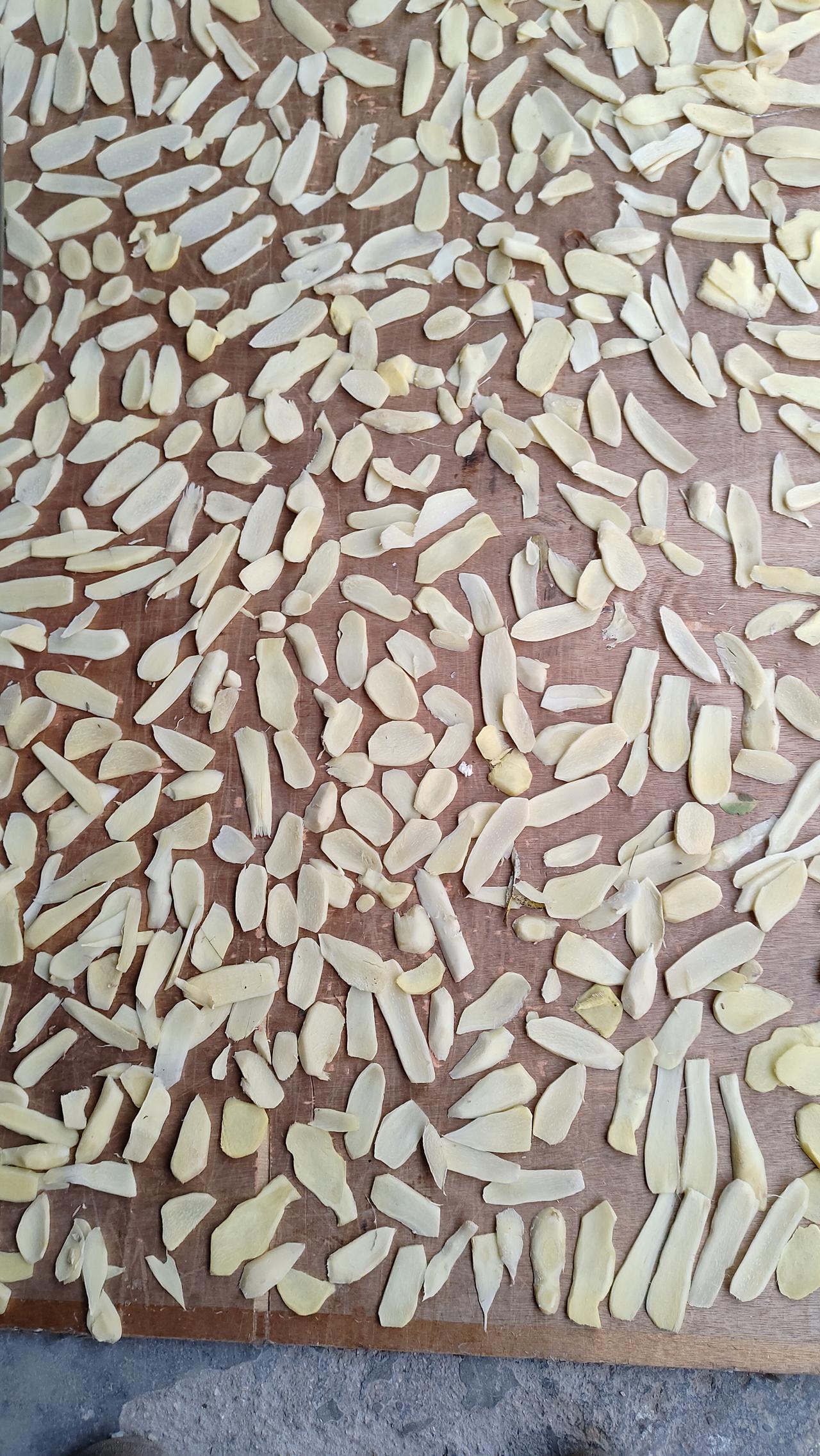 发了个检大姜的视频，评论区炸窝了。

现在这个季节正是姜农收大姜的时候，姜地小的