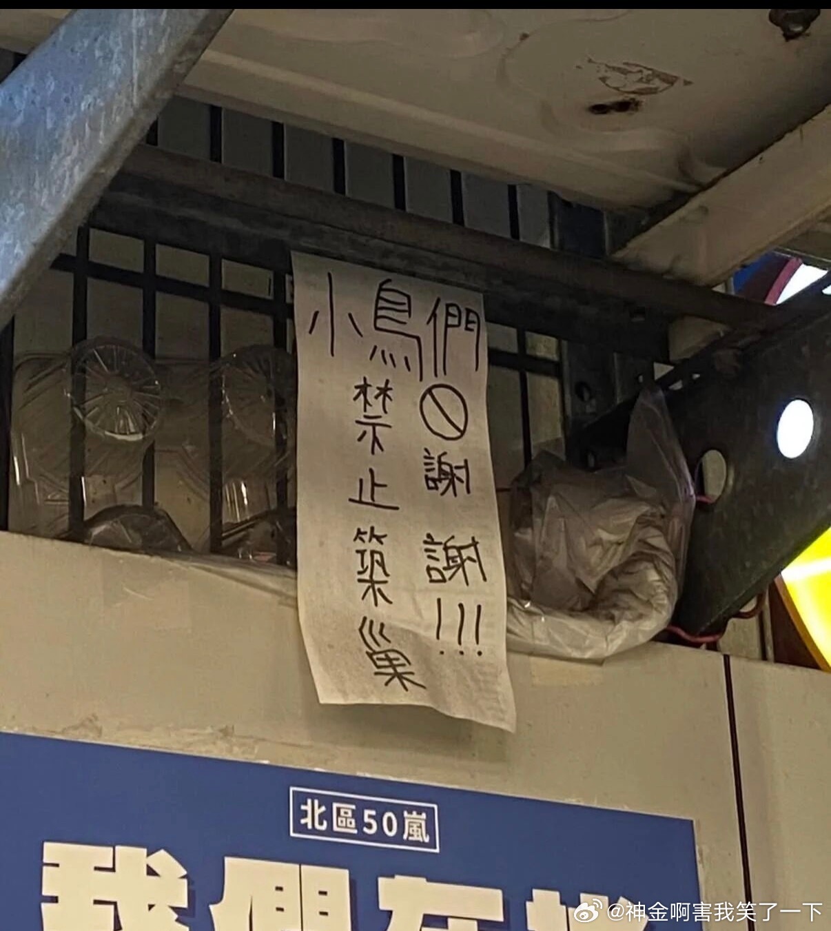 6100不是鸟语 鸟看得懂？ 