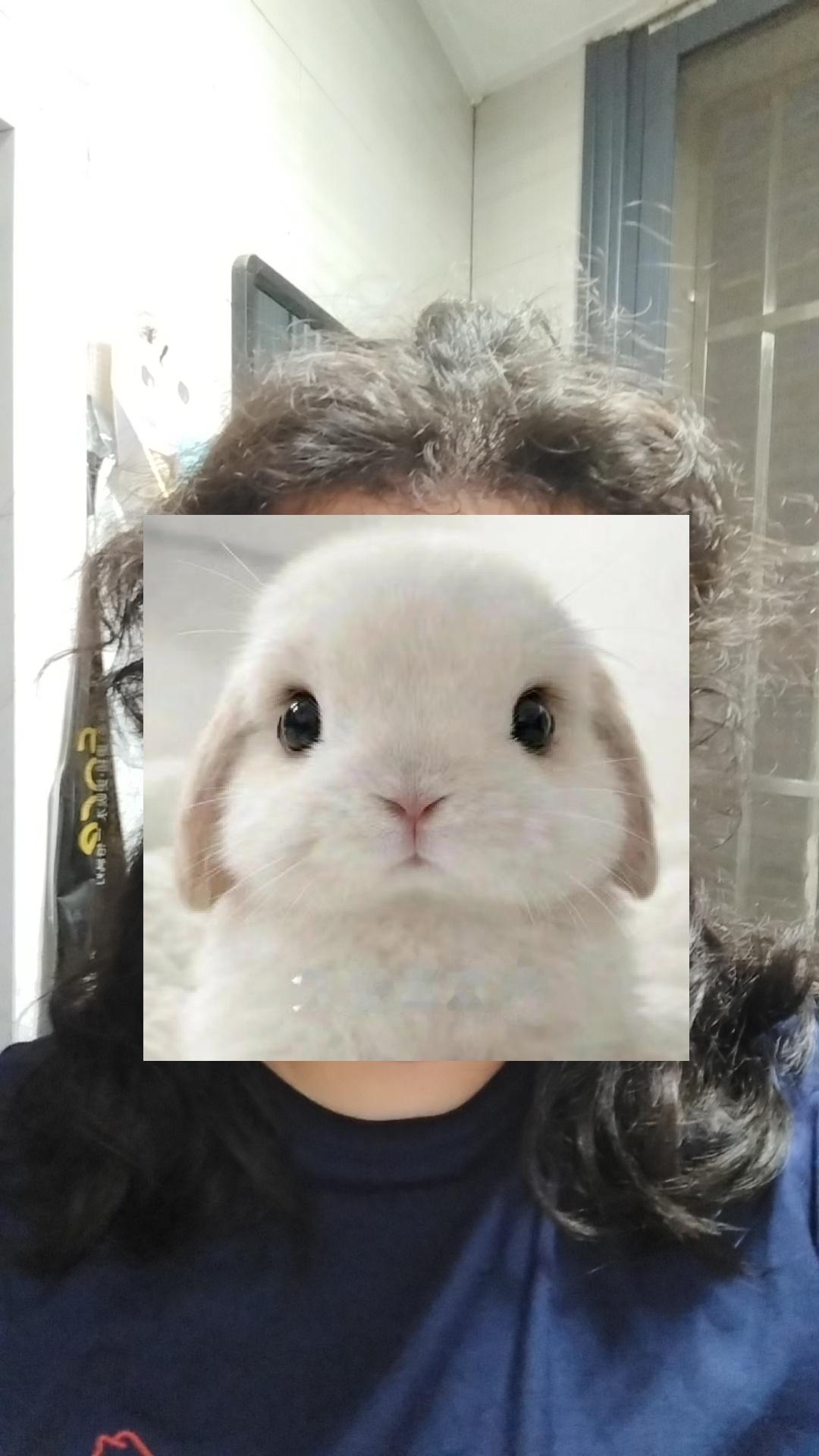 其实对比还是挺明显的对吗 