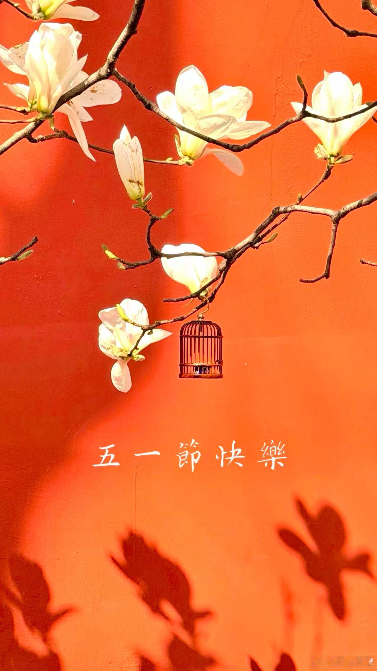 宽窄观察 这一隅红墙，几朵玉兰，便是一卷流动的无字经书。枝头的鸟笼，看似精致的束