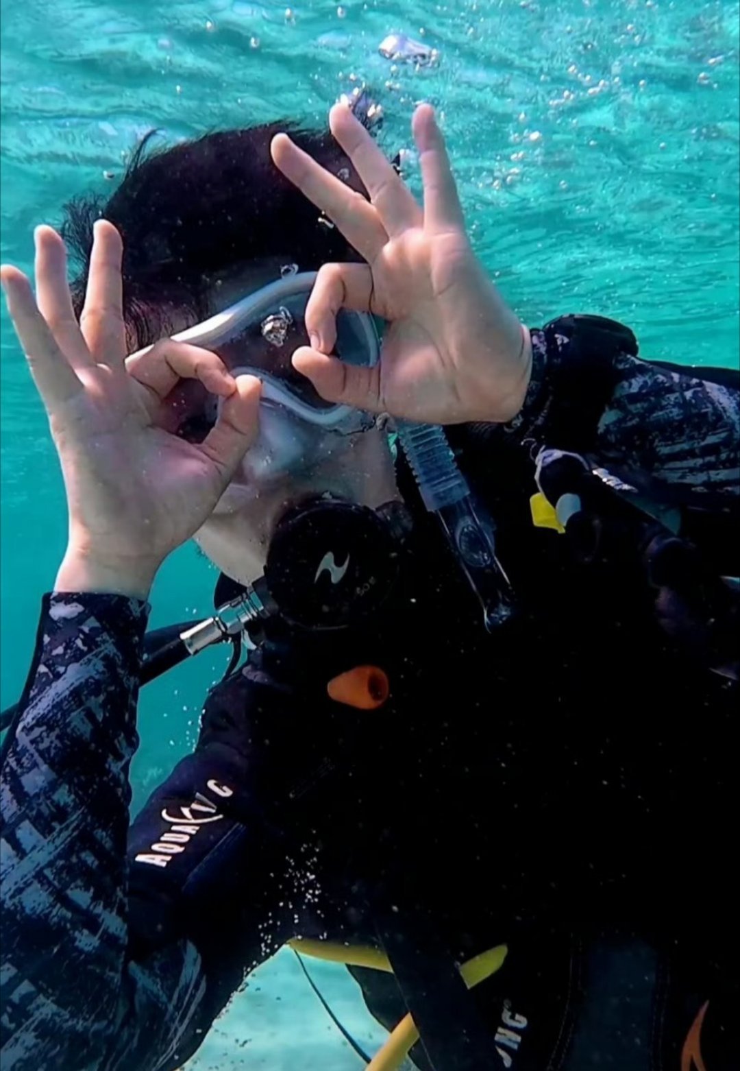 毛里求斯潜水🐉朱一龙