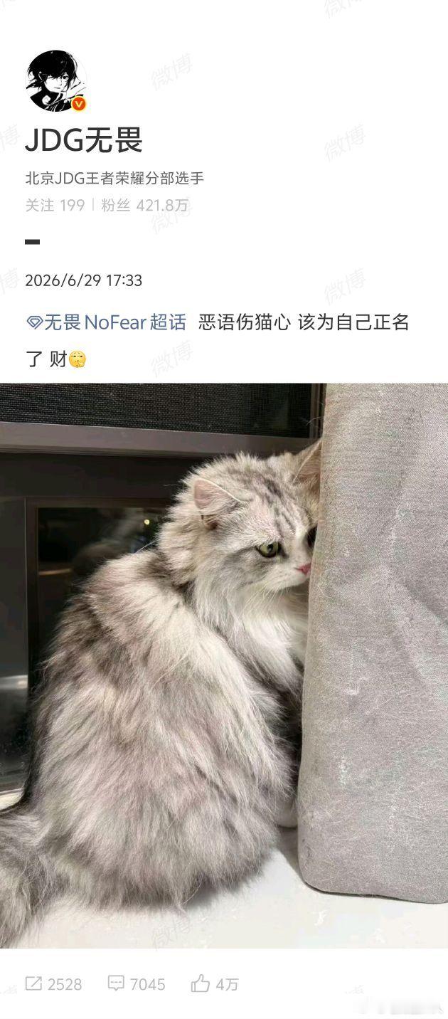 KPL  无畏为自己的猫正名了，毛茸茸的小脑袋里装着大智慧！🧠🐾无畏为自己的